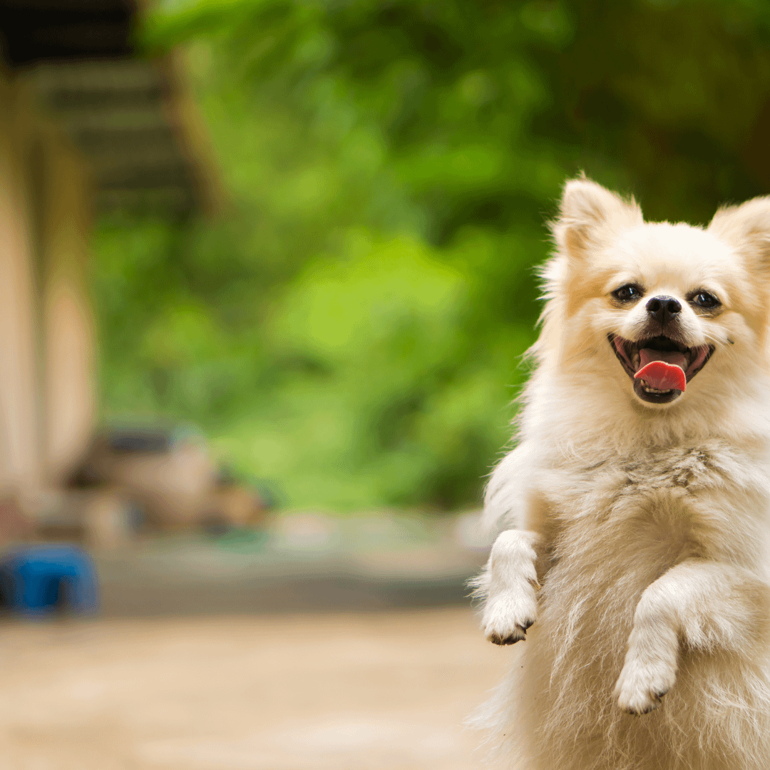 Blue Fortress Insurance Agency. Auto insurance. Car insurance. Homeowners insurance. Renters insurance. Murfreesboro. Smyrna, Rutherford County. Middle Tennessee. Lavergne. Cheap car insurance. MTSU student insurance.